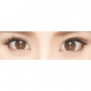 FLANMY Choco Tart 10片裝